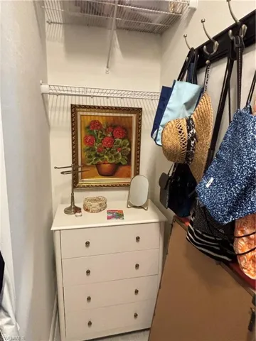 Guest Closet
