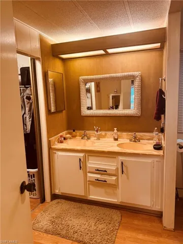 Bathroom with double vanity, light wood finished floors, and a spacious closet
