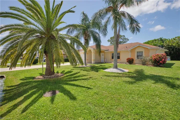 Front yard with mature palm trees.