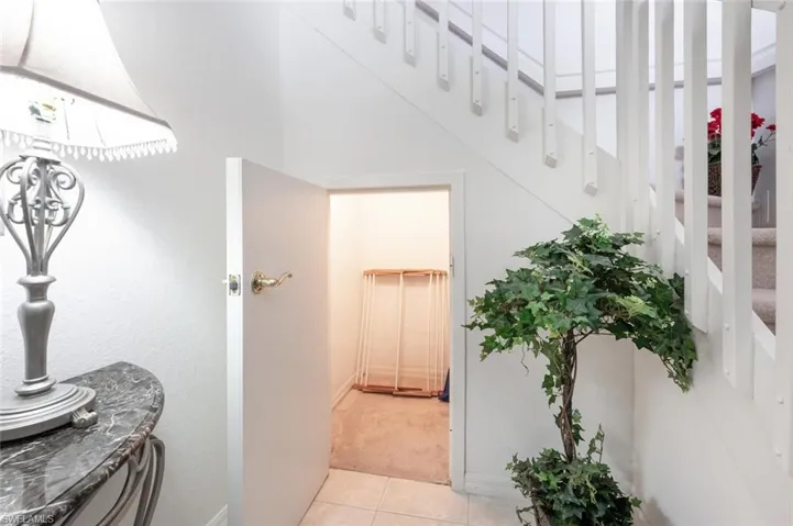 Closet Under Stairs
