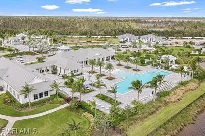Drone / aerial view of a pool and a forest