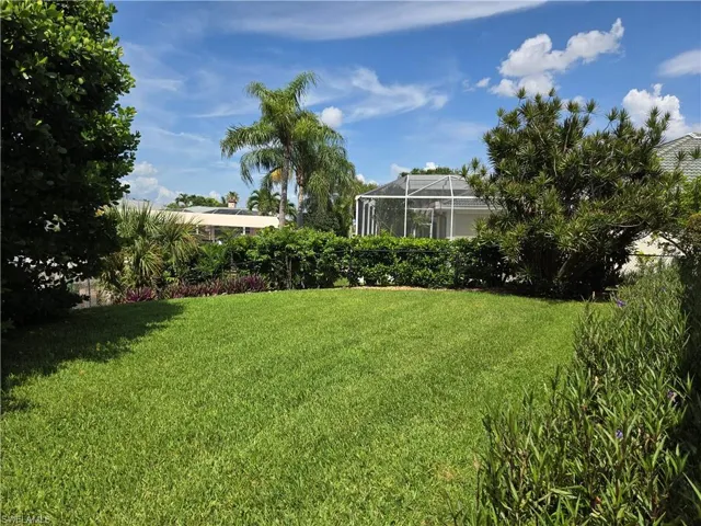 Rear Yard View of green lawn