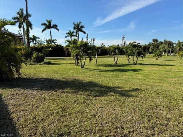Beautiful tree line land and fruit trees. Free to do with what you desire or leave as lovely open area.