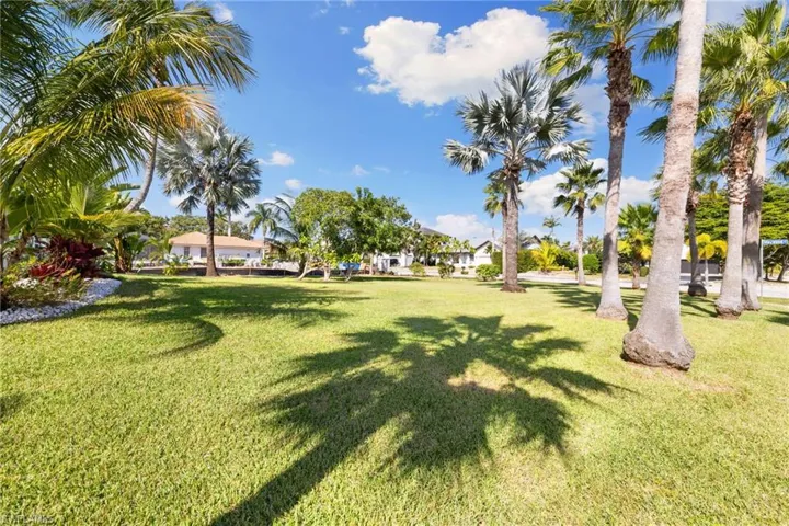 View of grassy yard