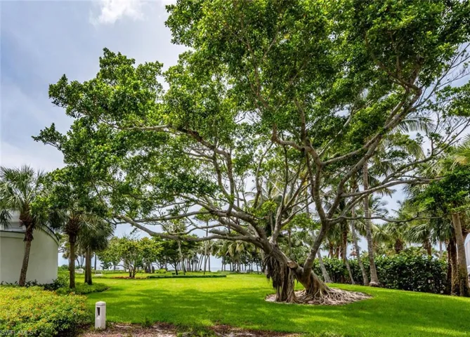 OPTIONAL MEMBERSHIP to park on Gulf of Mexico.