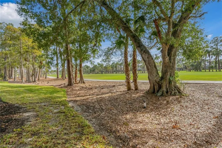 View of grassy yard featuring view of scattered trees