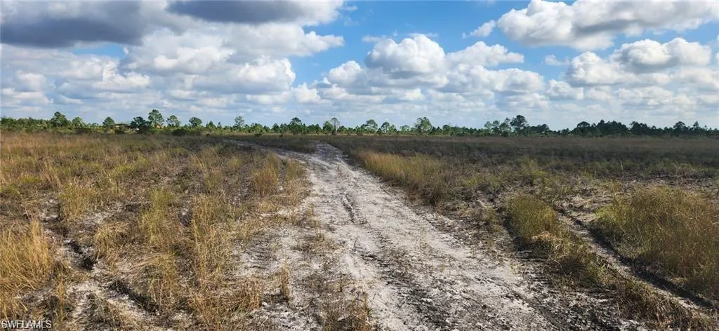 Expansive undeveloped land featuring a sandy path and natural vegetation