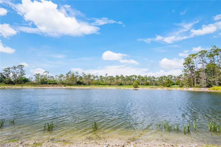 7595  Arbor Lakes  CT, Naples, FL 34112