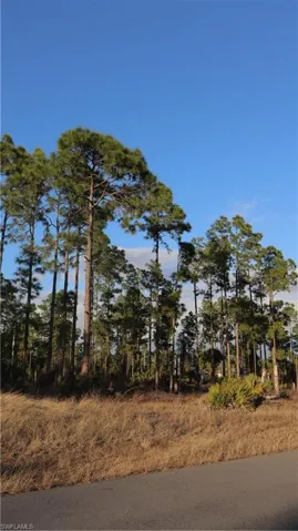 View of trees