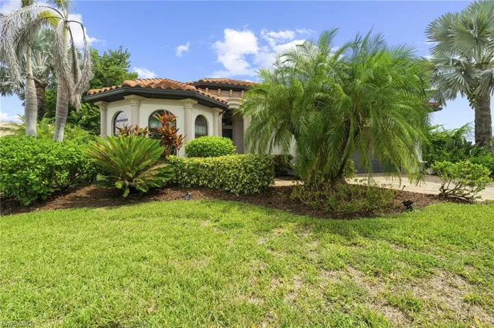 View of grassy yard