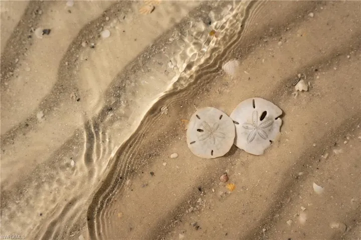 at the beach
