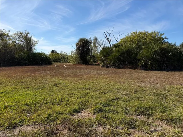 1154 Nw 28th Ave, Cape Coral, Florida 33993