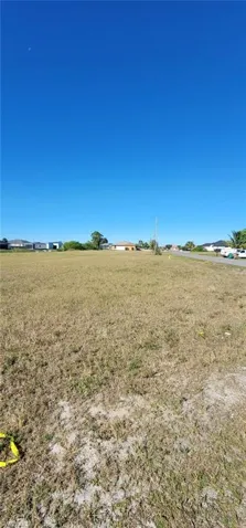 View of grassy yard