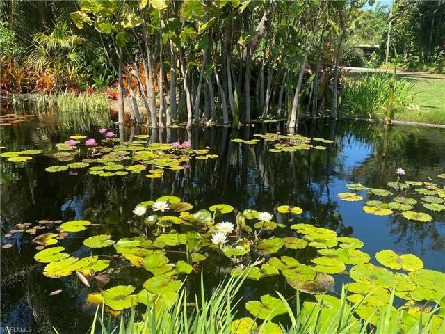 Naples Botanical Garden