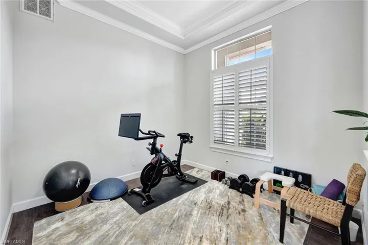 Exercise area featuring ornamental molding, plenty of natural light, and dark hardwood / wood-style floors