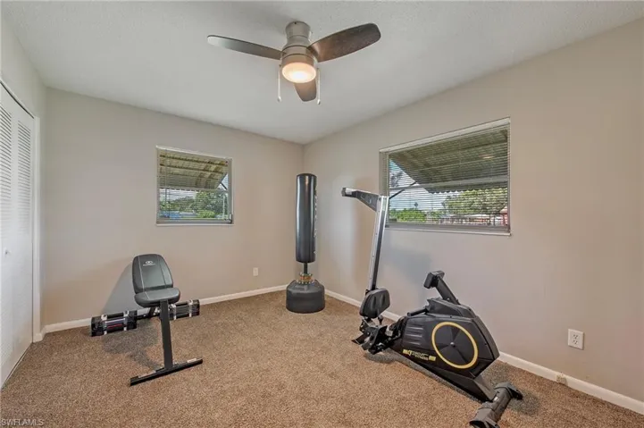 Exercise room featuring plenty of natural light, ceiling fan, and carpet floors