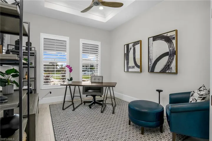 Home office with light hardwood / wood-style floors, a tray ceiling, a ceiling fan, and lots of natural light.