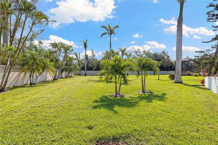 Large Backyard
