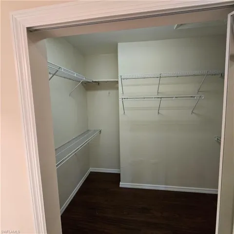 Spacious closet with dark wood-type flooring