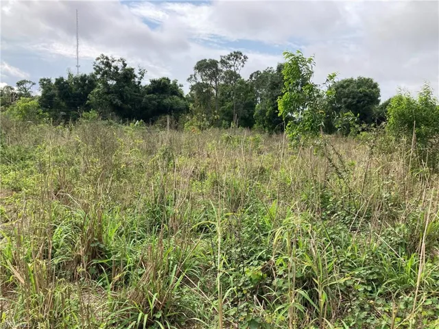 16051 10 Mile DR, FORT MYERS FL 33912