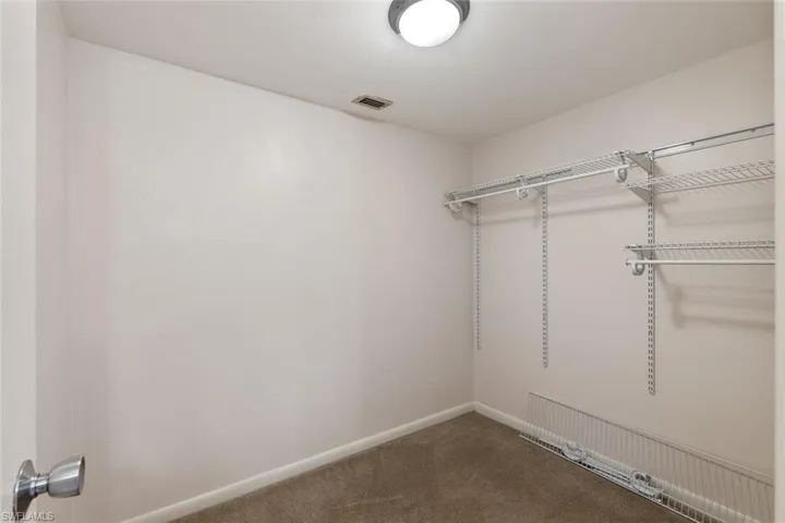 Spacious closet with carpet flooring