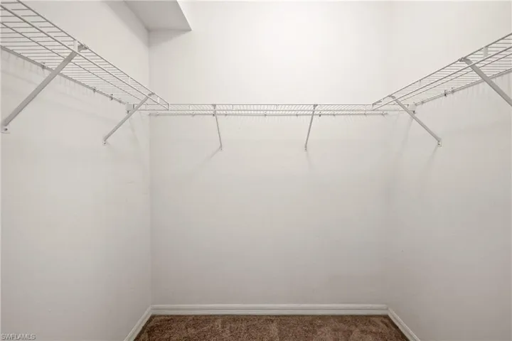 Primary Walk-in closet featuring carpet floors