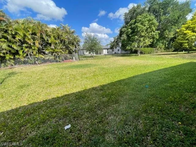 Back Yard