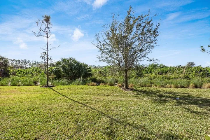 Peaceful preserve view