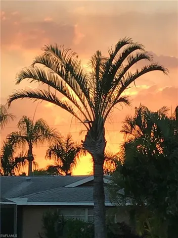 Daily Dose of Florida Sunshine!