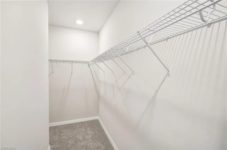 Spacious closet featuring carpet