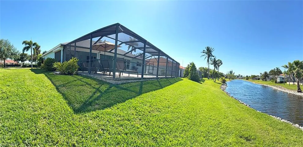 Back yard