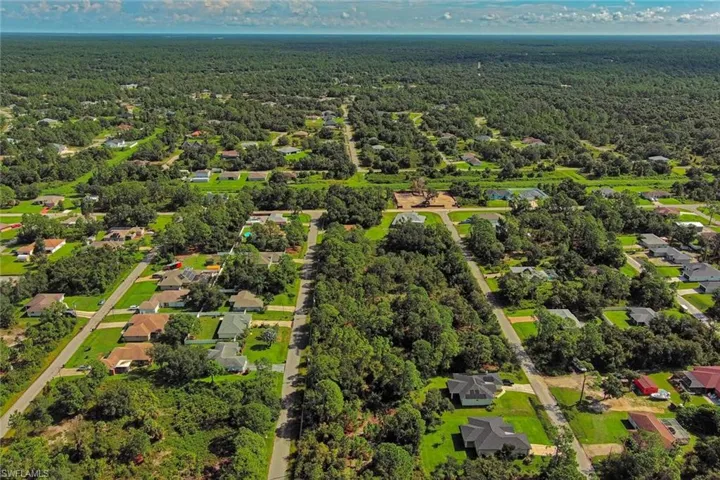 Aerial perspective of suburban area with a forest