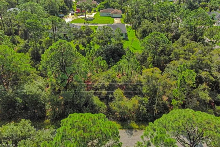 Bird's eye view of a forest