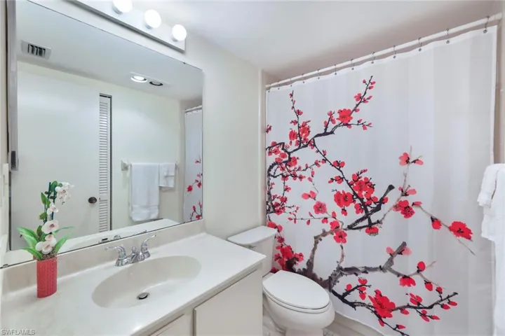 Guest-bathroom with tub and shower combination