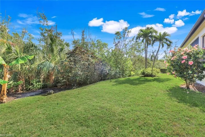 back yard buffered by a preserve.