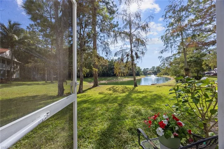 View from backdoor