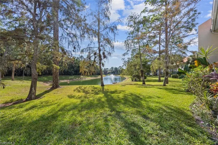 Beautiful lake view