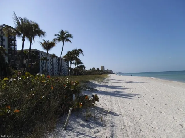 An evening walk ends a perfect day