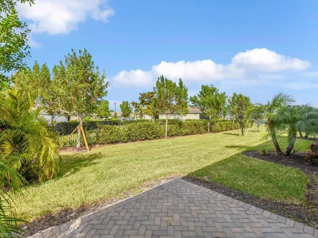 View of back yard