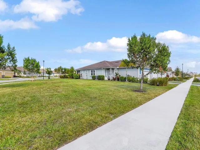 Side View of yard