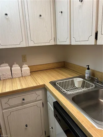 Kitchen featuring light countertops and dishwashing machine