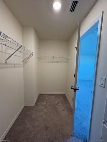Walk in closet featuring carpet floors