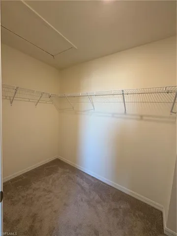 Walk in closet featuring carpet flooring and attic access