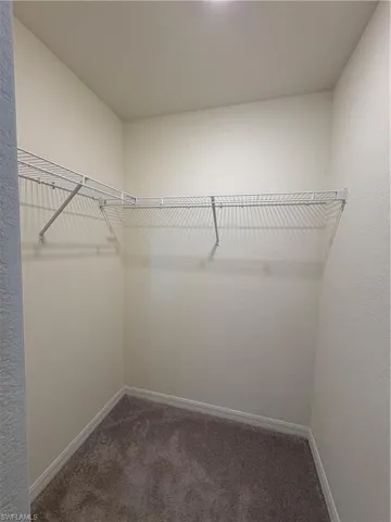 Spacious closet featuring dark colored carpet