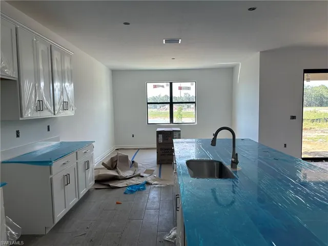 Kitchen featuring white cabinetry, sink, and dark hardwood / wood-style flooring