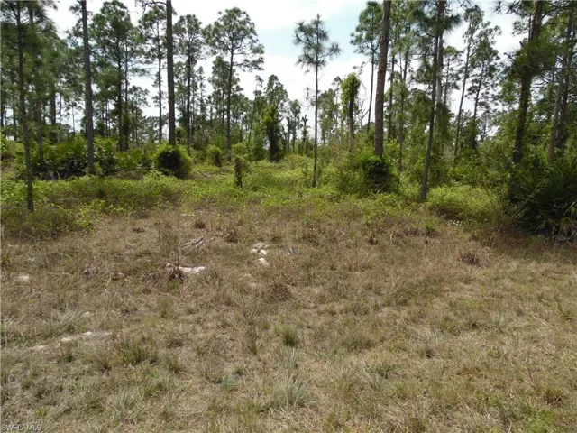 1048 Cresthaven ST, LEHIGH ACRES FL 33974