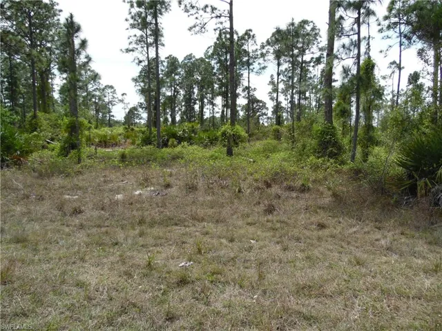 1048 Cresthaven ST, LEHIGH ACRES FL 33974