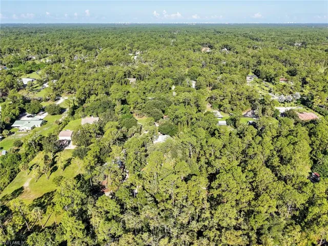 Aerial view of property and surrounding area with a forest