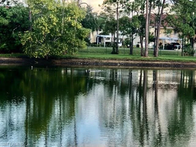 Water view