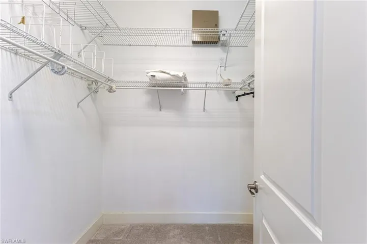 Spacious closet with carpet